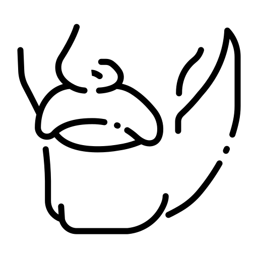 Bartpflege Icon