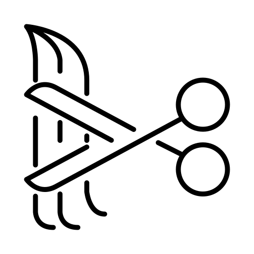 Haarschschnitte Icon